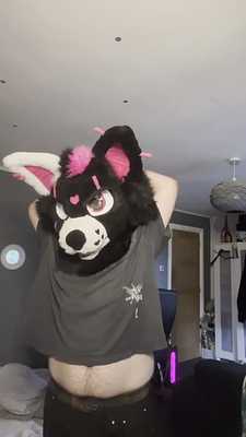 Border Collie rubs his belly