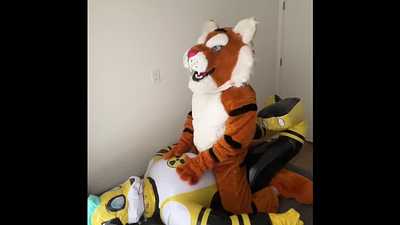 Tiger Mascot playing with his inflatable friend