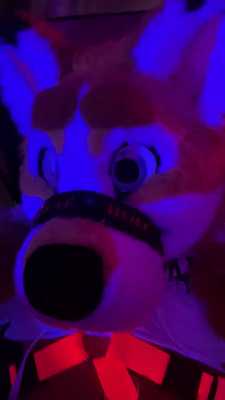 being a wolfs good boy 