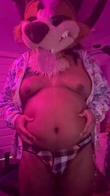 Fat Puppy rubs his big belly 