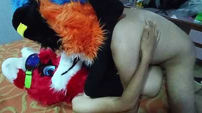 Tiger playing with red Fox 🐯❤️‍🔥♥️