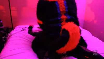 Sparks.... meets Kovu MFF 2022