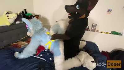 Daddy Dober x Winter Party Slutski