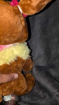 Giving Eevee an early Christmas gift