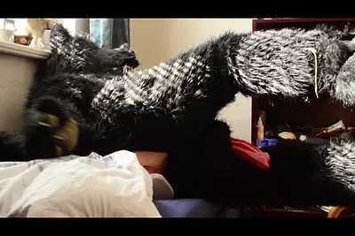 The werewolf has a free afternoon