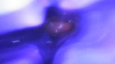 Inside view of my Sarah Toy