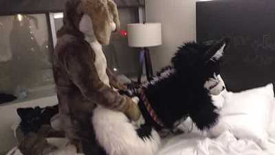 Hoppy breed nightshade