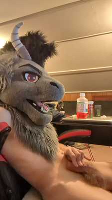 Pent Up Paw