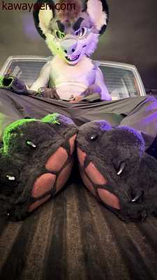 KawaTheHyeen - Yeen paws off in the back of his truck 