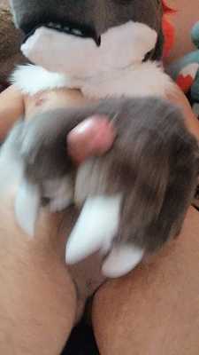 Draggy paws off - cums
