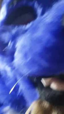 Niko breeds my tiny hole 