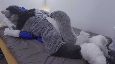 Fenny Time - The Balloon Animal