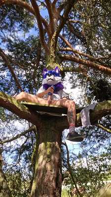 A bit of exhibitionism on tree house😏