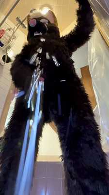 POV German Shepherd Murrsuit Pee