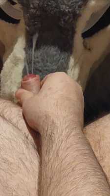 Teaser for new Sergal Muzzle Painting 🦴💦