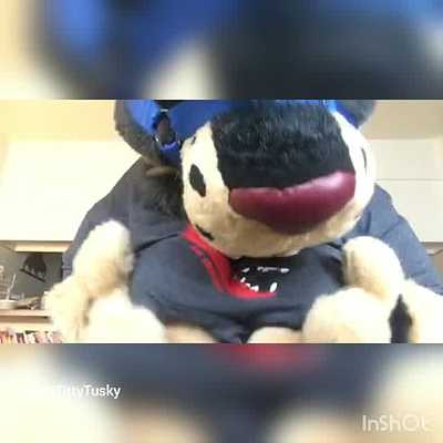 Big Titties and Toy compilation