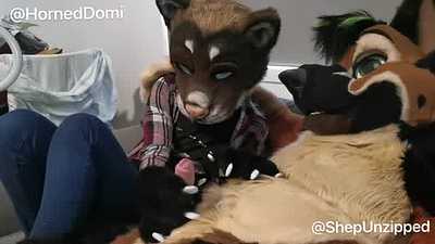 Giving a shep a hand(paw)job