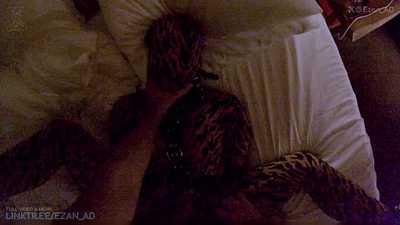 Fun With The Tiger Pet (PREVIEW)