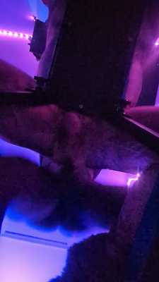 Pup Bunny gets fucked Pt 2