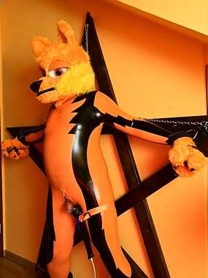 Latex wolf receiving good vibes