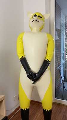 Time locked in the yellow fox (part 2 of 2)