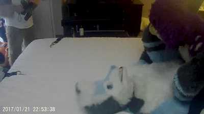 Goldfoxie Hosts More Baysluts