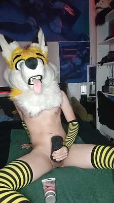Femboy Fox breeds fleshlight