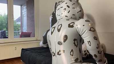 Snow leopard suit with husky toy