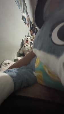 Aspen Wolf Plushie Breeding ( FRONT VIEW )