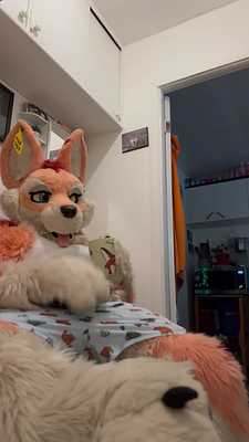 It’s one of those morning 🦊❤️