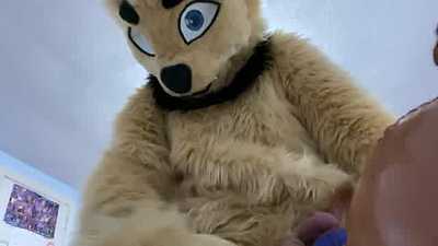 Tracy Pounds Chase and Paws Off