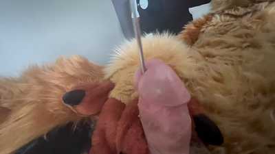 Jackal gets his dick fucked 