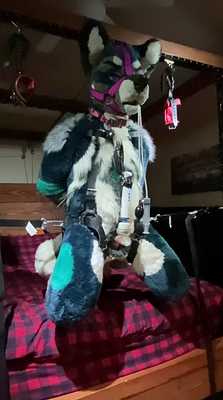 Milked in Suspension