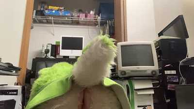 Bat wiggling his butt ;)