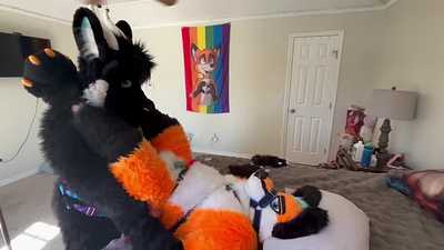 Mmm fox had plenty of fun with a dragon