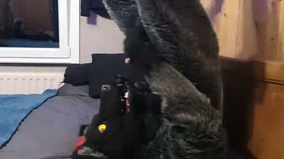 Self-feeding myself :3