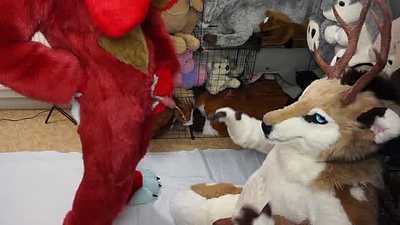 Pissed on by a bun