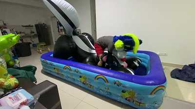 Inflatable Skunk ride