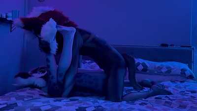 A little quickie in the petsuits 🤭