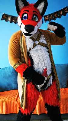 Male Fox Cums with his knot