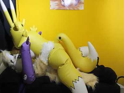 ridden by renamon