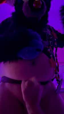 Skyway’s holiday strip tease🐺❄️ part2