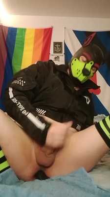 horny and maughty wolf  is alone home