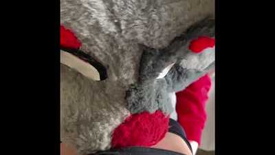 Seal and Fox get horny