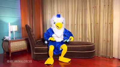 Mascot Eagle masturbation with zentai