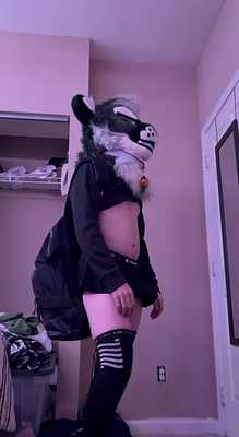 School kitty gets peeped on