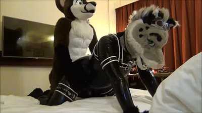 Felix the Fox breeding Kamadan the Rubber Kitty