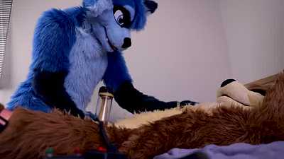 Waffles Milkes BigPawbs