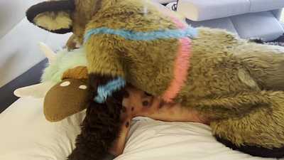 Shio breeds Stephie at CFz 2023