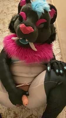 This Kitty Had to Pee Pretty Badly